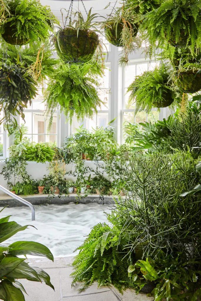 Mayflower Inn & Spa garden